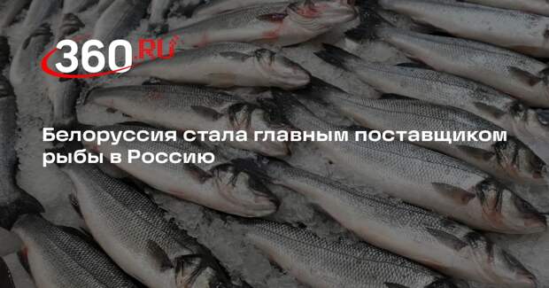 Белоруссия стала главным поставщиком рыбы в Россию