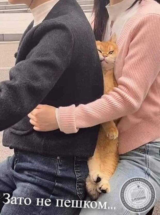 Зато не пешком