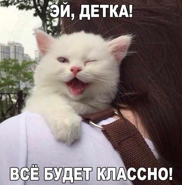 ПОЗИТИВНЫЙ ПОСТ+ 197