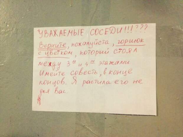 Смешные объявления из подъездов (16 фото)