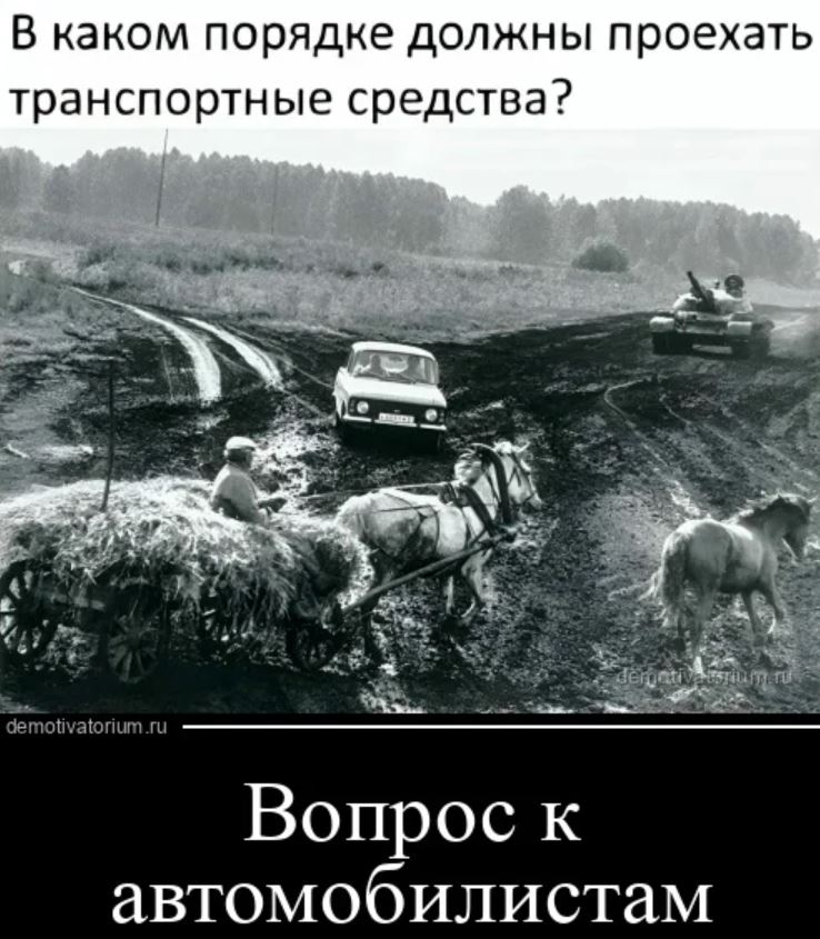 картинки с приколами для поднятия настроения (13)