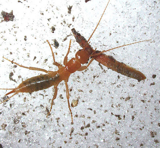 Приятного аппетита! Что бы ты там не ел...