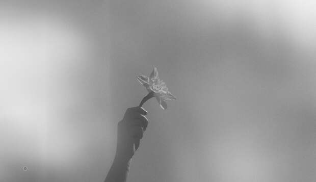 В регионах стартовал отбор проектов для программы «Стальное дерево»