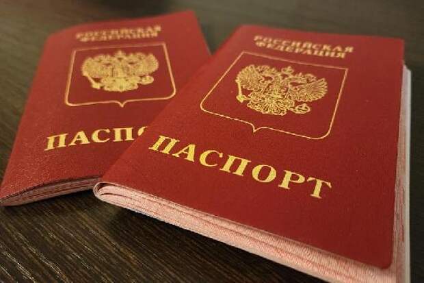 Правительство РФ предложило кратно повысить госпошлины за получение гражданства