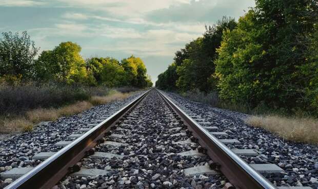 Нидерланды закупят поезда для перевозки раненых в «войне с Россией