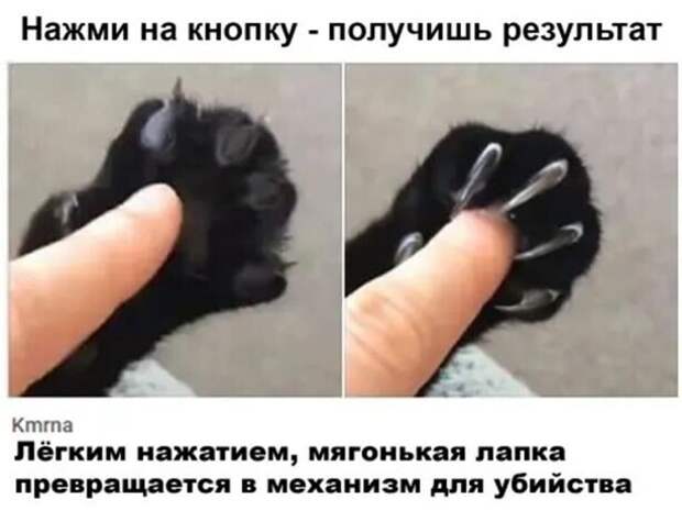 Улыбнёмся перед выходными!