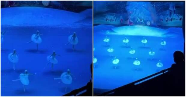 Слово из трёх букв было замечено на сцене Большого театра