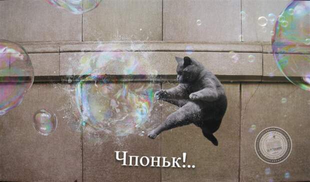 Чпоньк!..