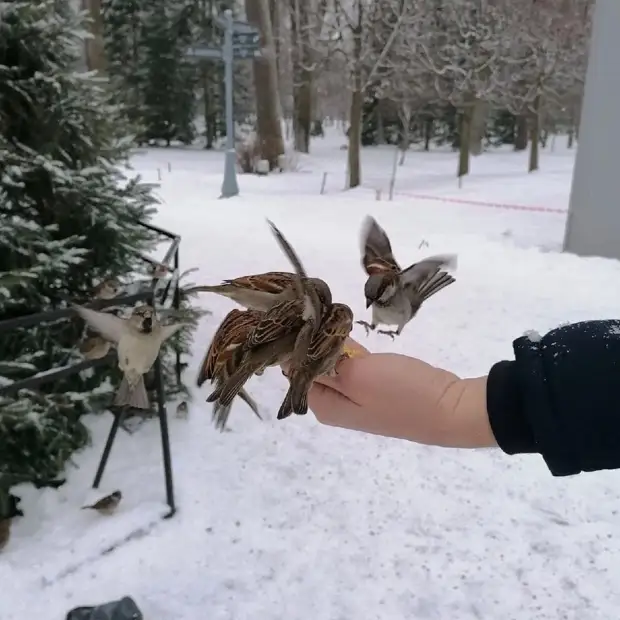 ����� - ��������� �����..., ��� ��������� ��������