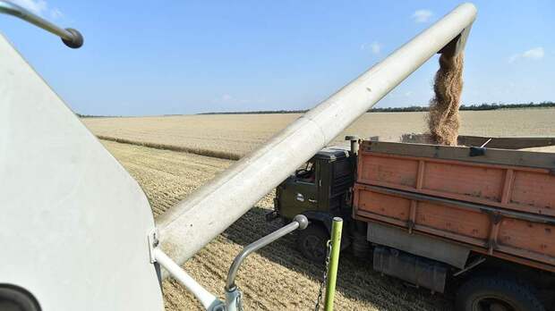 Посол РФ заявил о желании ЦАР продолжить поставки российского зерна