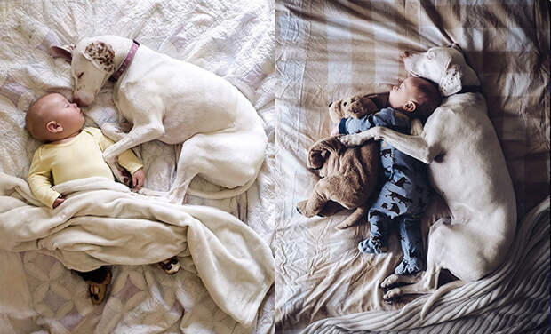 17 милейших фотографий, которые доказывают, что ребёнку просто необходима собака