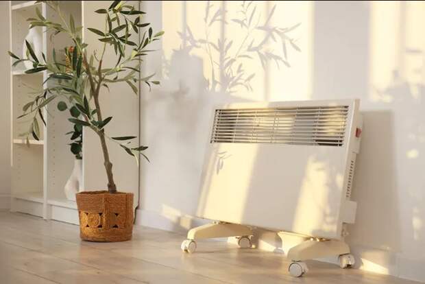 Комнатные растения, которым ни по чем жар от батареи