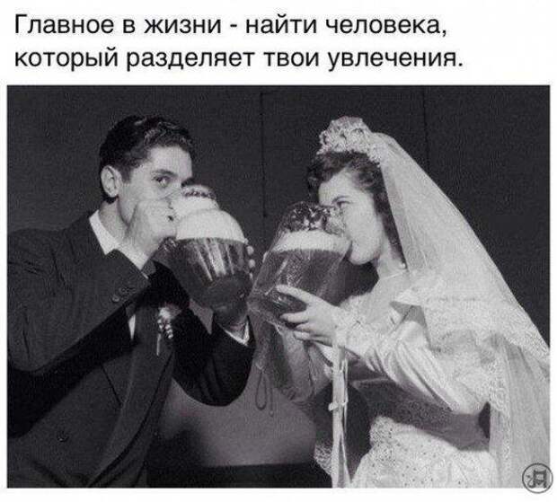 Прикольные картинки в ассортименте!!!