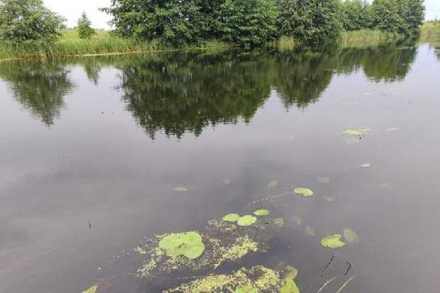 Из реки Леской Воронеж в Мичуринском округе достали труп 54-летнего мужчины