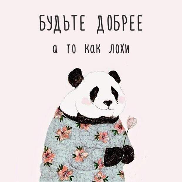 Прикольные картинки пятничным вечером (50 шт)