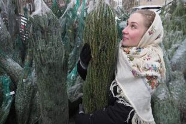 Пункты приема деревьев на утилизацию открыты в районе. Фото: Антон Гердо, «Вечерняя Москва»