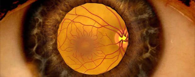 Врач-офтальмолог раскрыл всю правду о диабетическом макулярном отеке - кто в группе риска и почему это хуже катаракты