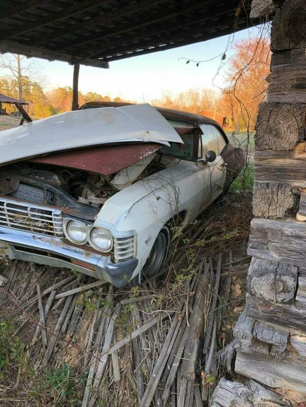 Брошенная Chevrolet Impala простояла 35 лет под навесом в поле barn find, chevrolet, авто, автомобили, олдтаймер, ретро авто