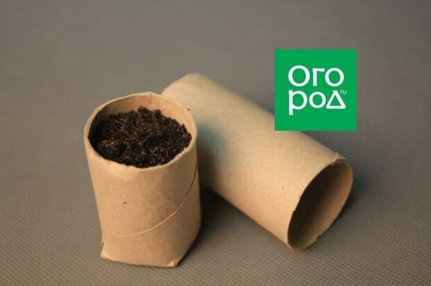 контейнеры для рассады из втулок от туалетной бумаги