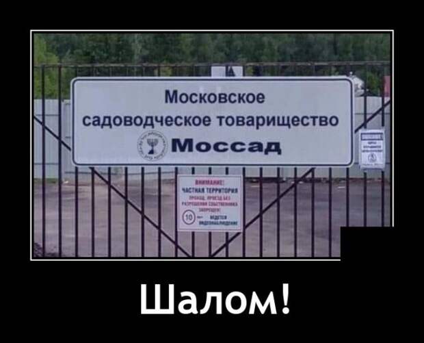 Демотиваторы 16 июля 2021