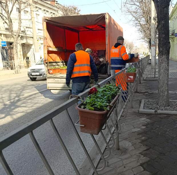 Свыше 300 кашпо с виолой украсят Симферополь