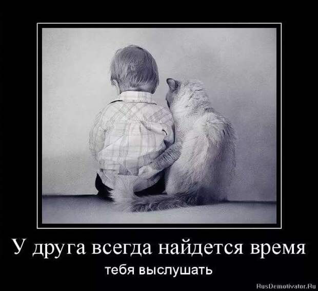 Прикольные демотиваторы с надписями. Подборка chert-poberi-dem-chert-poberi-dem-14580603092020-16 картинка chert-poberi-dem-14580603092020-16