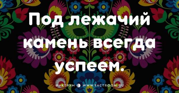 20 смешных современных поговорок, которых вы ещё не слышали 20 смешных современных поговорок, которых вы ещё не слышали