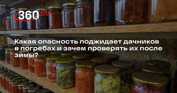 Агроном Викулов рассказал, что нужно сделать с погребом после зимы