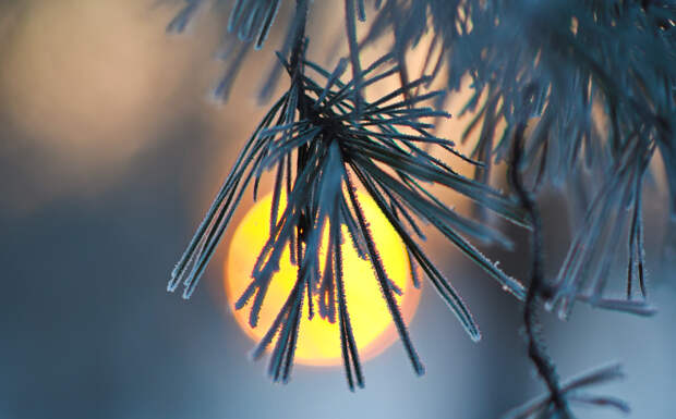 Весна в феврале? Как бы не так. Заслуженный метеоролог сказал прямо, чего ждать: "Не просто холодно, очень холодно!"