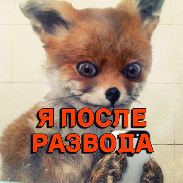 после второго развода