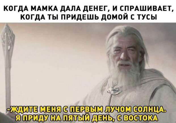 Смешные картинки с подписями (20 фото)