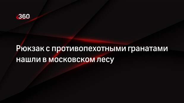 Источник 360.ru: в Конькове нашли противопехотные гранаты и 200 патронов