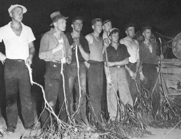 Добровольная дружина, по тушению лесных пожаров в «Черную пятницу», 13 января 1939 года, Австралия