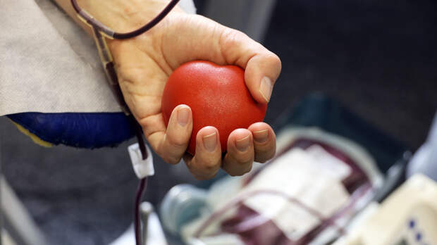 Число почётных доноров крови в Подмосковье достигло 28 тысяч