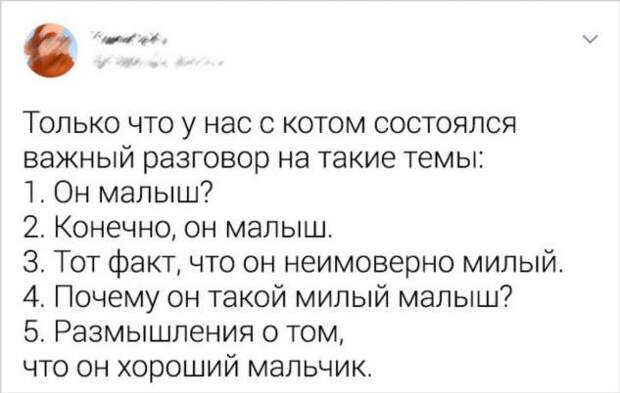 16 ситуаций, которые поймут все владельцы животных