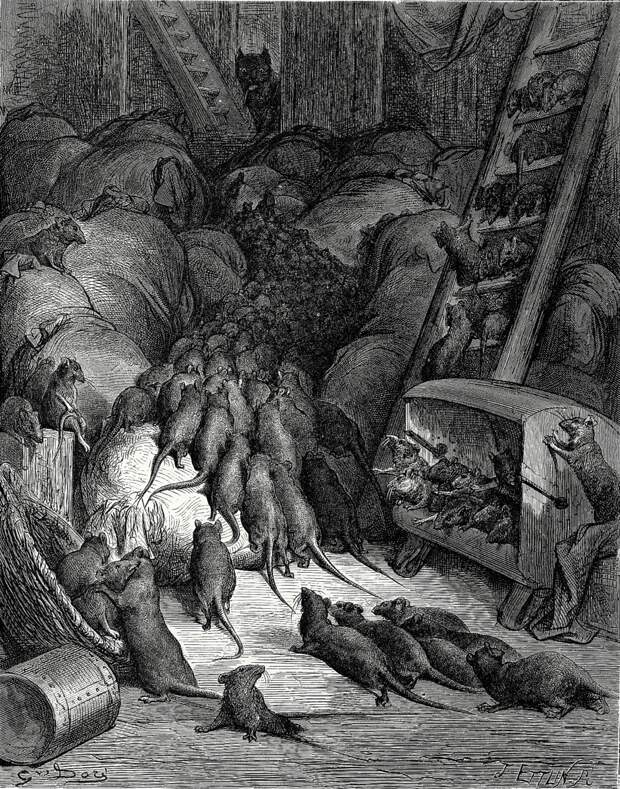 Корабельные крысы часто заполняли трюмы