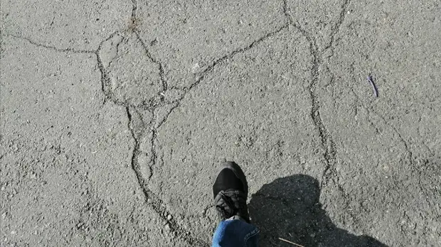 В Курганской области первоклассник не вернулся с прогулки