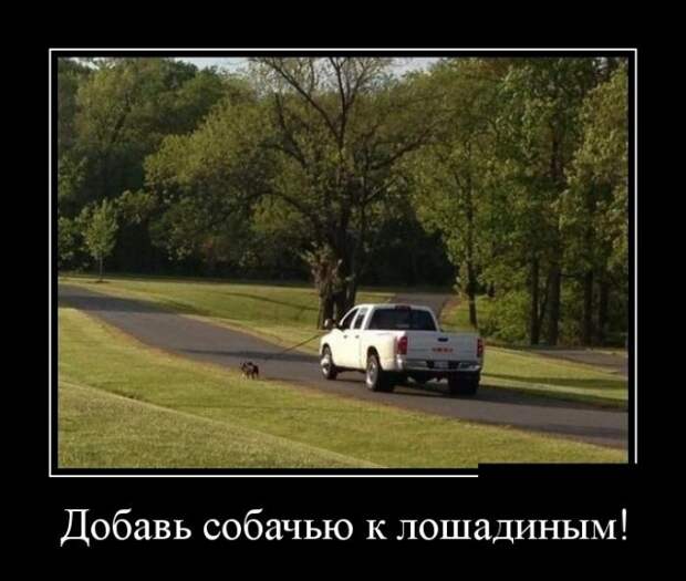 Демотиваторы