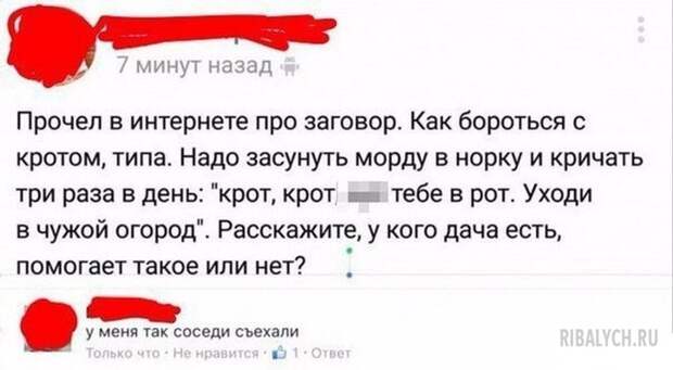 комменты из соцсетей