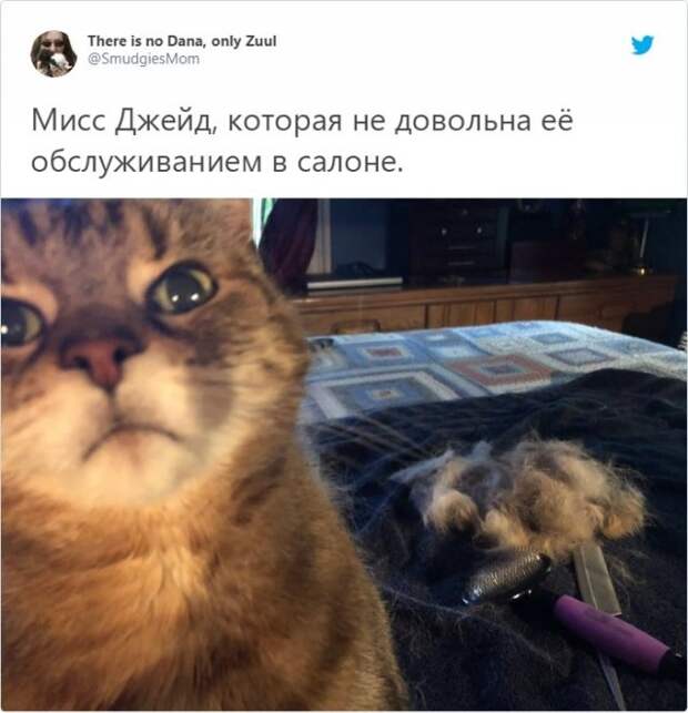 www.vsyako.net