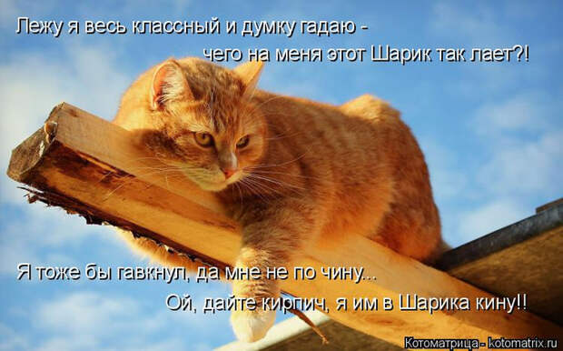 1 (700x436, 339Kb)