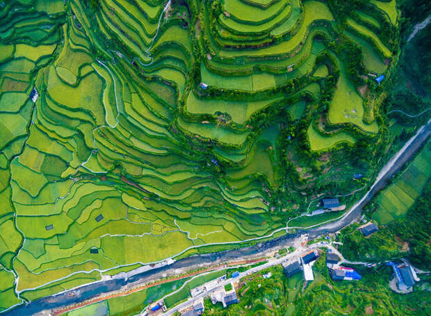 Рисовые террасы в провинции Гуйчжоу