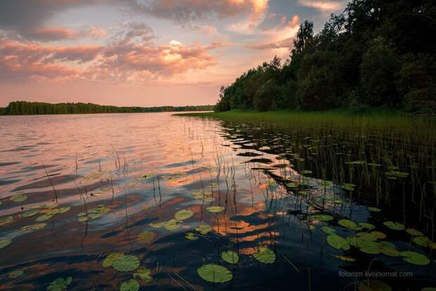 Русский север. Кенозерье Кенозерье, русский север, фоторепортаж