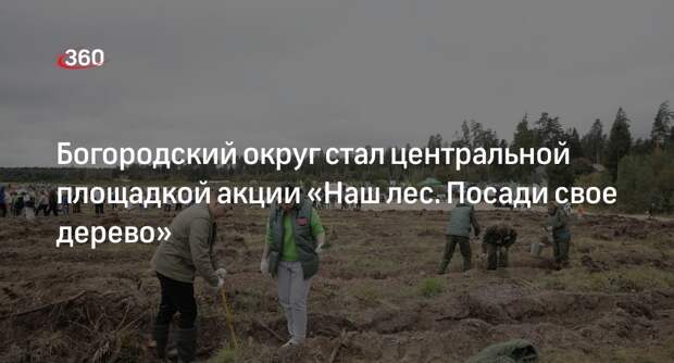 Богородский округ стал центральной площадкой акции «Наш лес. Посади свое дерево»