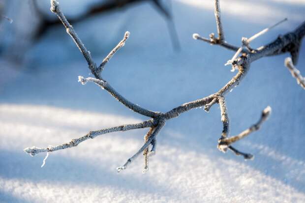 Москвичам пообещали потепление