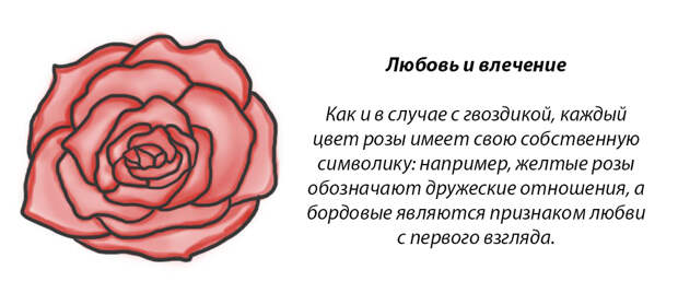 У каждого месяца есть цветок-покровитель. Какой он у вас?