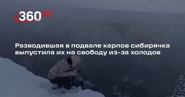 Разводившая в подвале карпов сибирячка выпустила их на свободу из-за холодов