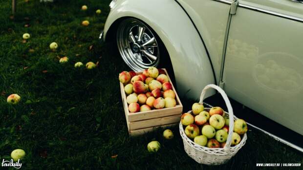 Beetle stance project