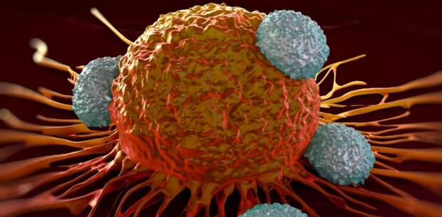 7 вирусов которые вызывают рак