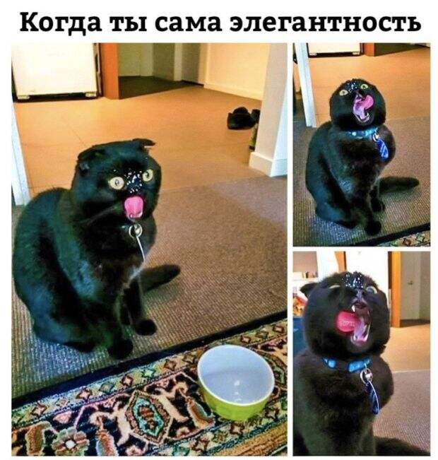 Подборка картинок. Дневной выпуск (26 фото)